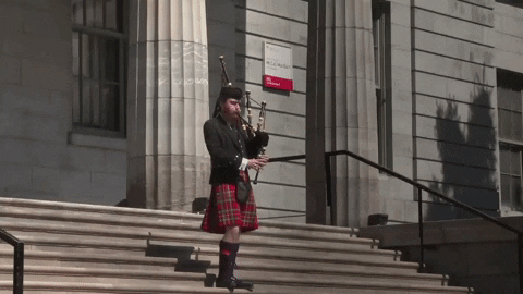 Convocation GIF by McGill University