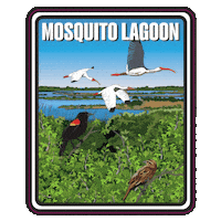 Aquatic Preserve Sticker by FLDEP