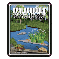 Aquatic Preserve Sticker by FLDEP