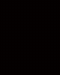 Funny Dance Dancing GIF