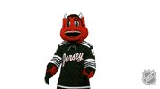 Ice Hockey What GIF by NHL