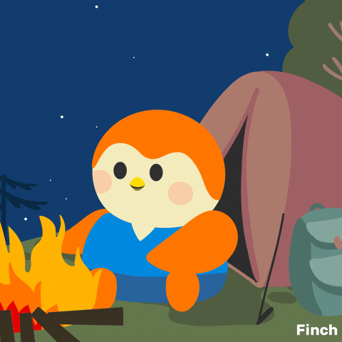Happy Summer Camp GIF by Finch Care