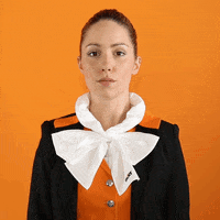 no GIF by Sixt