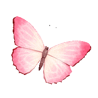 Butterfly Sticker