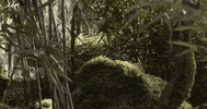 surprise bird GIF by vrt