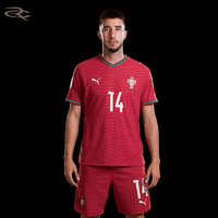 Cristiano Ronaldo Portugal GIF by Respective