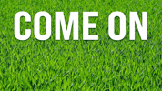 World Cup Norway GIF by Vinnie Camilleri