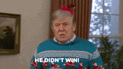 Donald Trump GIF by Sassy Justice