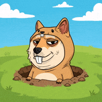 Shiba Inu Lol GIF by Doge Pound