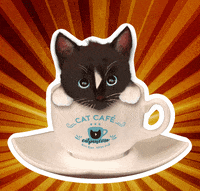 Happy Good Morning GIF by Felini Rocks