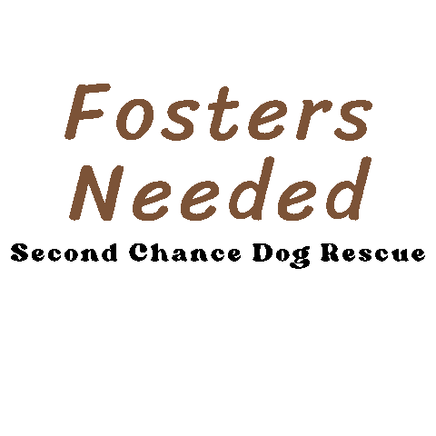 Scdr Sticker by Second Chance Dog Rescue