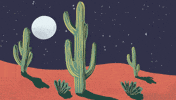 Lizard84 cactus desert full moon night sky GIF