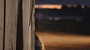 Freaks Geeks Cowboy GIF by Oliver Tree