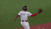 Toronto Blue Jays Wow GIF by MLB