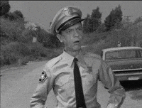 barney GIF