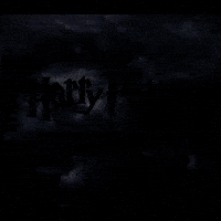 harry potter in concert GIF