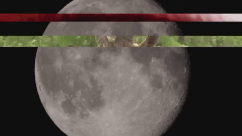 Art Video GIF by jorgemariozuleta