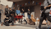 nicki minaj dogs GIF by DNCE