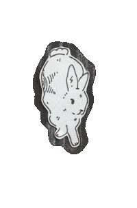 Stars Bunny Sticker