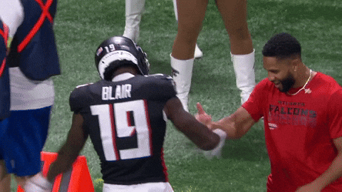 Football Nfl GIF by Atlanta Falcons