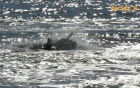 nick cummins bachelor au GIF by The Bachelor Australia