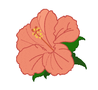 Flower Hibiscus Sticker