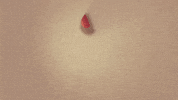 GIF by Bichofeo