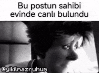 Bu GIF