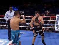 toprank fight boxing fighting espn GIF