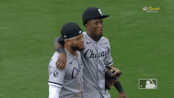 Regular Season Sport GIF by MLB