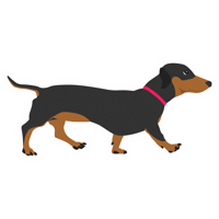 Dog Puppy Sticker by Vitality