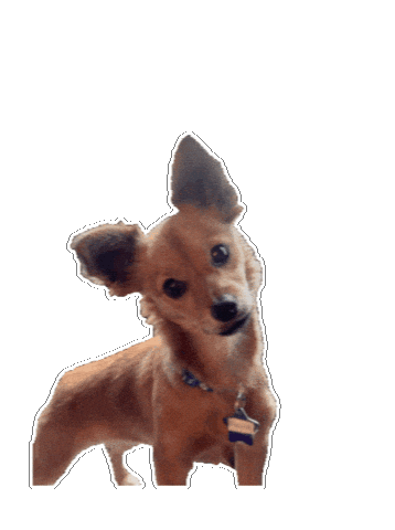 Miss U How Are You Sticker by Breathing Room