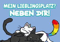 Black Cat Love GIF by Pummel & Friends