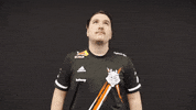Hands Up Reaction GIF by G2 Esports