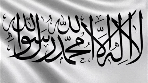 Middle East Wave GIF