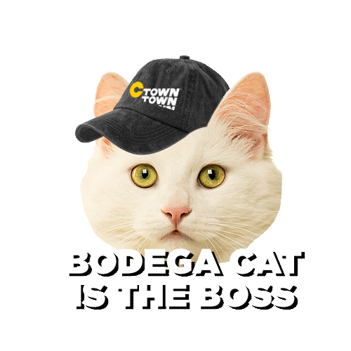 ctownsupermarkets giphyupload cat bodega cat ctown Sticker