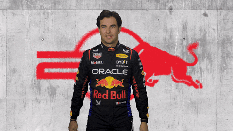 Red Bull Sport GIF by Oracle Red Bull Racing