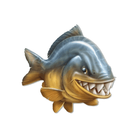 Carpfishing Boilies Sticker by ImperialBaits