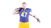 Ncaa Football Go Bears Sticker by Cal Athletics