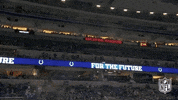 Football Sport GIF by NFL