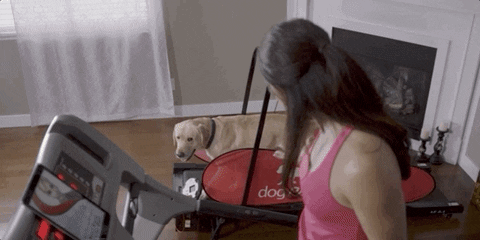 nymag giphyupload GIF