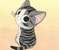 chis sweet home GIF