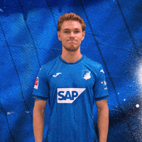 Sport Bundesliga GIF by TSG Hoffenheim