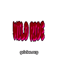 Wild Ride Fun Sticker by grizlor