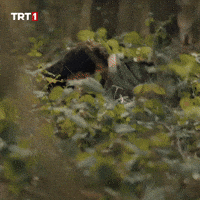 Fire Gun GIF by TRT