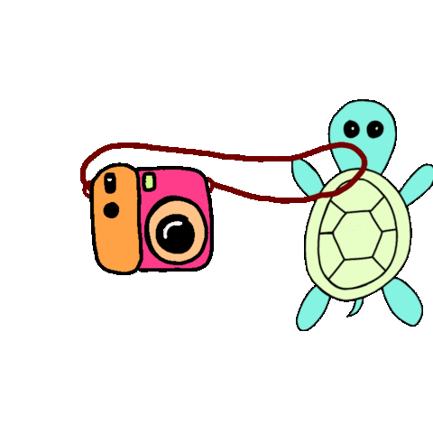 Turtle Patience Sticker by Digital Pratik