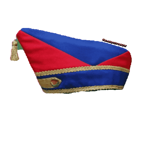 Karneval Sticker by Blau-Rote Funken