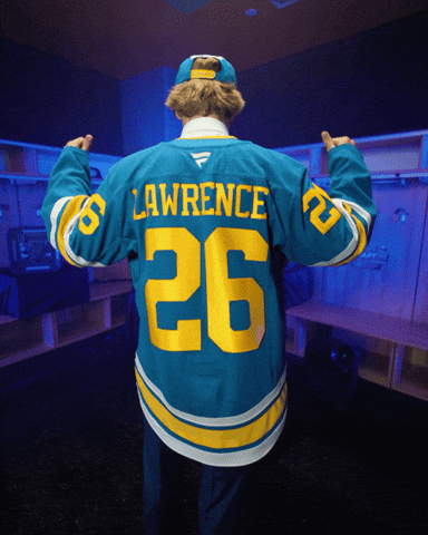 Happy St Louis Blues GIF by NHL