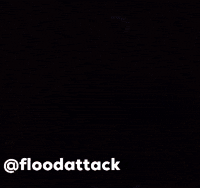 Ufc Mma GIF