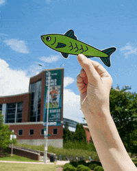 Information Security College GIF by UAB Information Technology